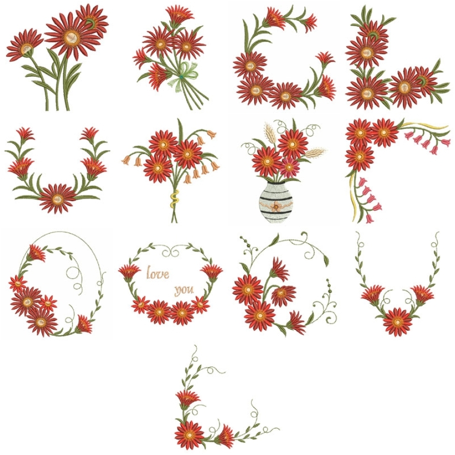 Gerbera Daisies