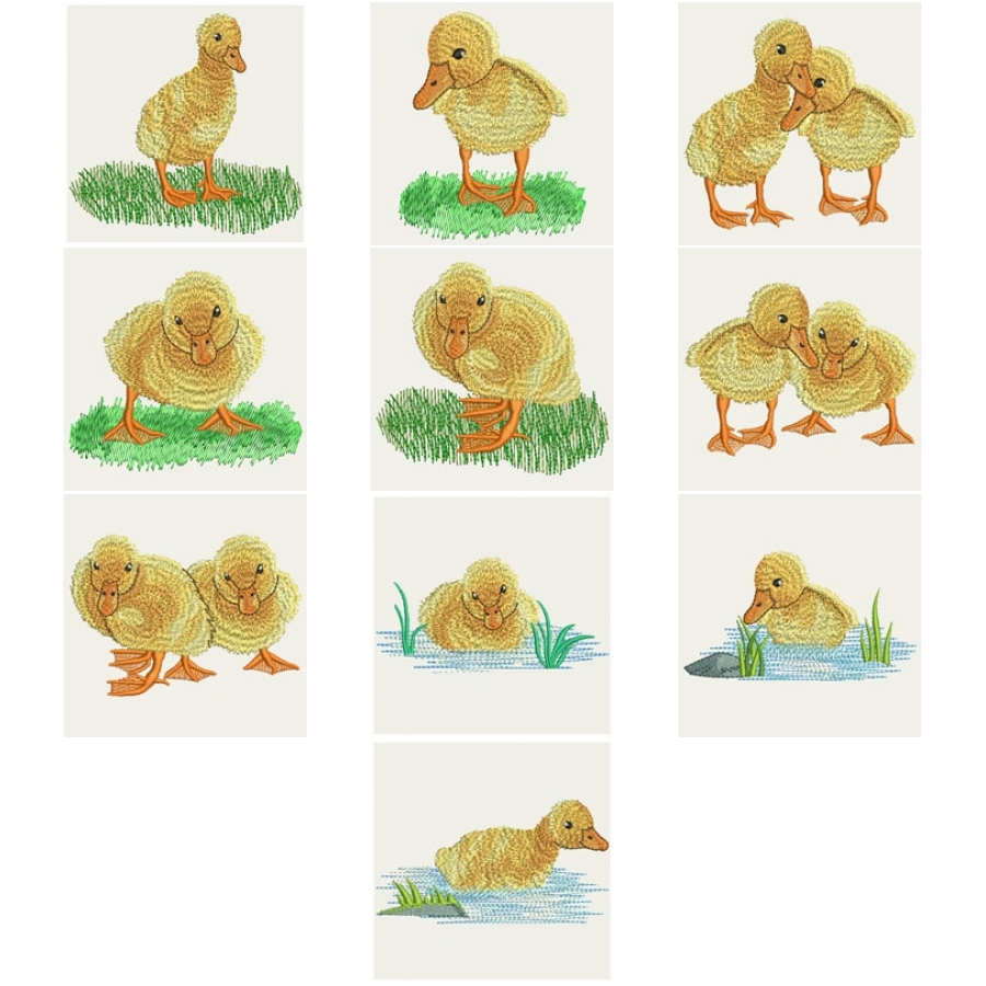 Cuddly Ducks