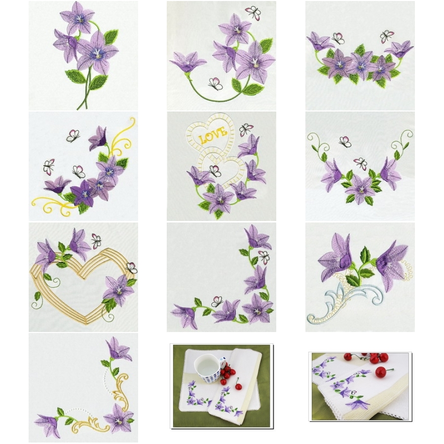 Balloon Flower