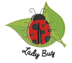 Lady Bug 3