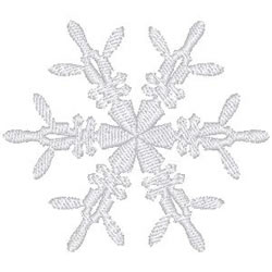 Elegant Snowflake