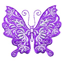 Fancy Butterfly