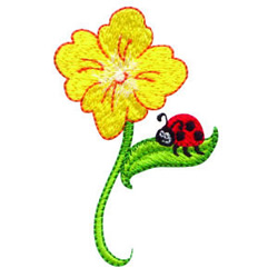 Ladybug And Flower