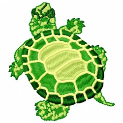 Turtle Top