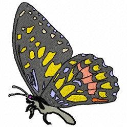 Standing Butterfly