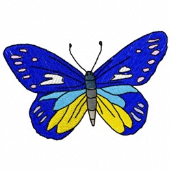 Butterfly Blue 2