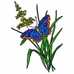 Butterfly Grass