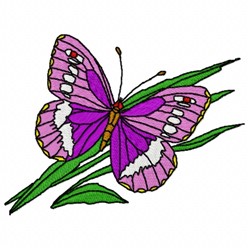 Purple Putterfly