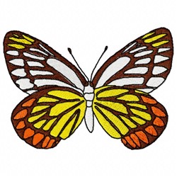 Ucharis Butterfly