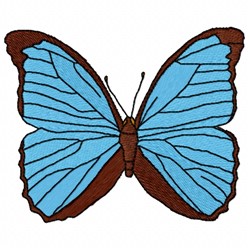 Menelaus Butterfly