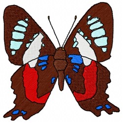 Huascar Butterfly