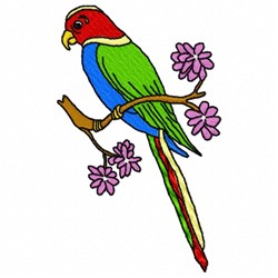Parrot Branch 1