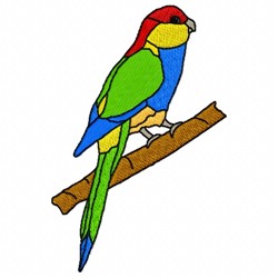 Parrot Branch 2