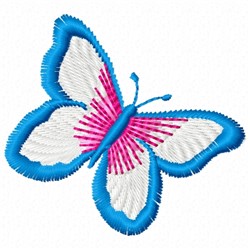 Blue & Pink Butterfly