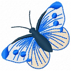 Pink & Blue Butterfly