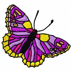 Colorful Butterfly 3