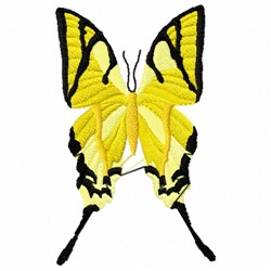 Yellow Butterfly 2