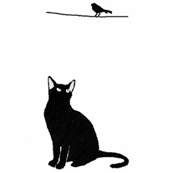 Cat & Bird