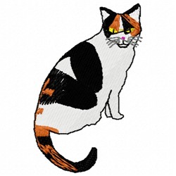 Callico Cat