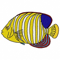 Yellow Fish 2