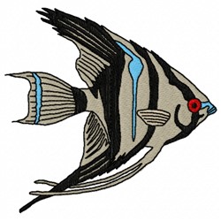 Angel Fish 1