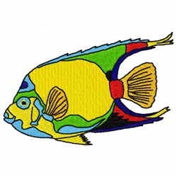 Colorful Fish 2