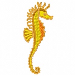 Fancy Seahorse 1