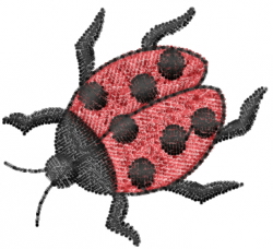 Ladybug 10