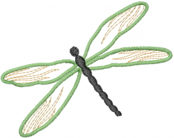 Dragonfly 2