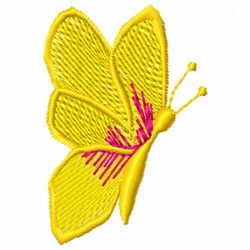 Yellow Butterfly 5
