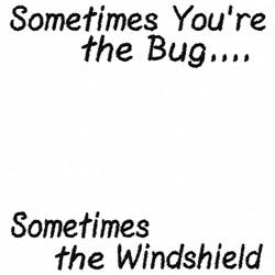 Windshield Bug