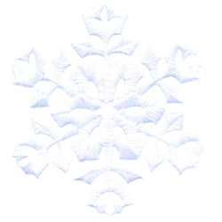 Snowflake 6 