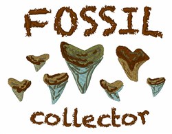 Fossil Shark Teeth 2 