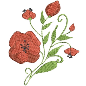 Pretty Poppies