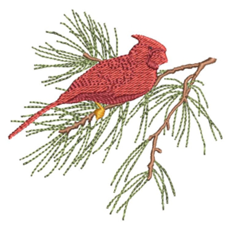 Cardinal