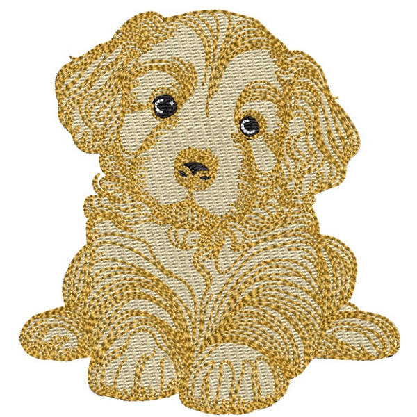 Golden Puppy