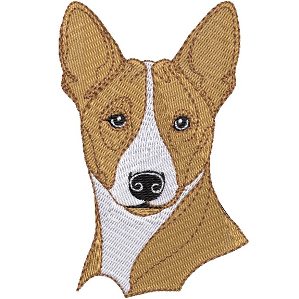 Beautiful Basenji