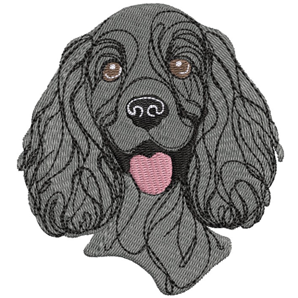 Cute Cocker Spaniel