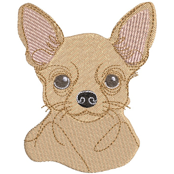 Chipper Chihuahua