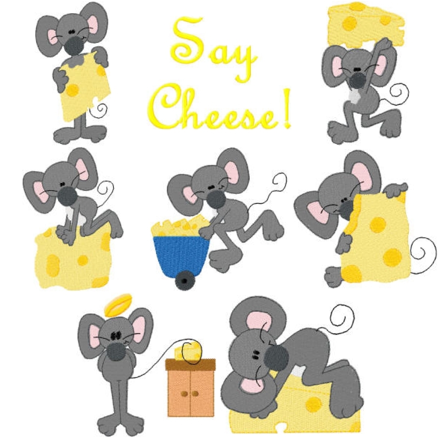 BC009 Say Cheese