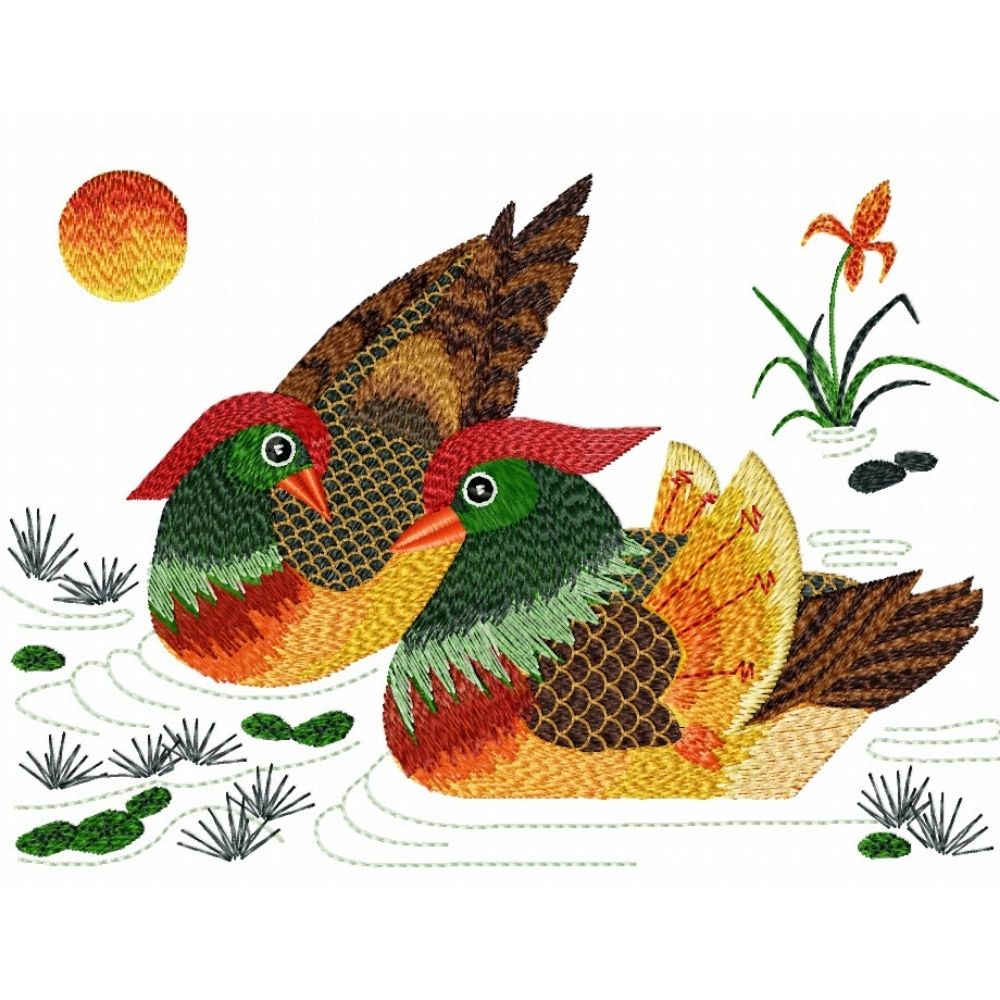 Mandarin Ducks
