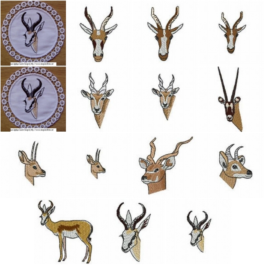 Deer Collection 4x4