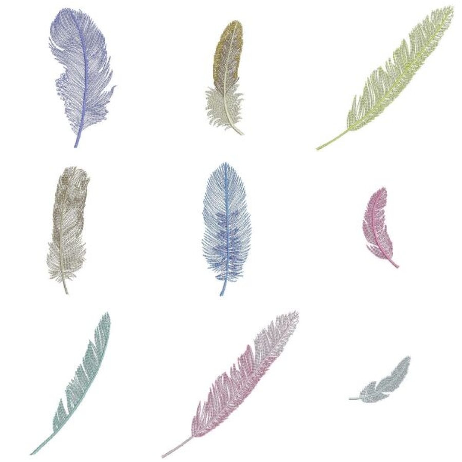 Feathers 4x4