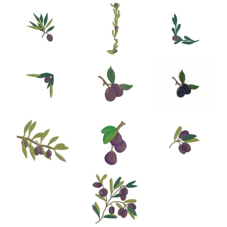 Olives 4x4
