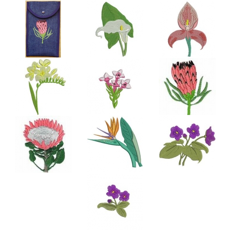 South African Flowers 4x4