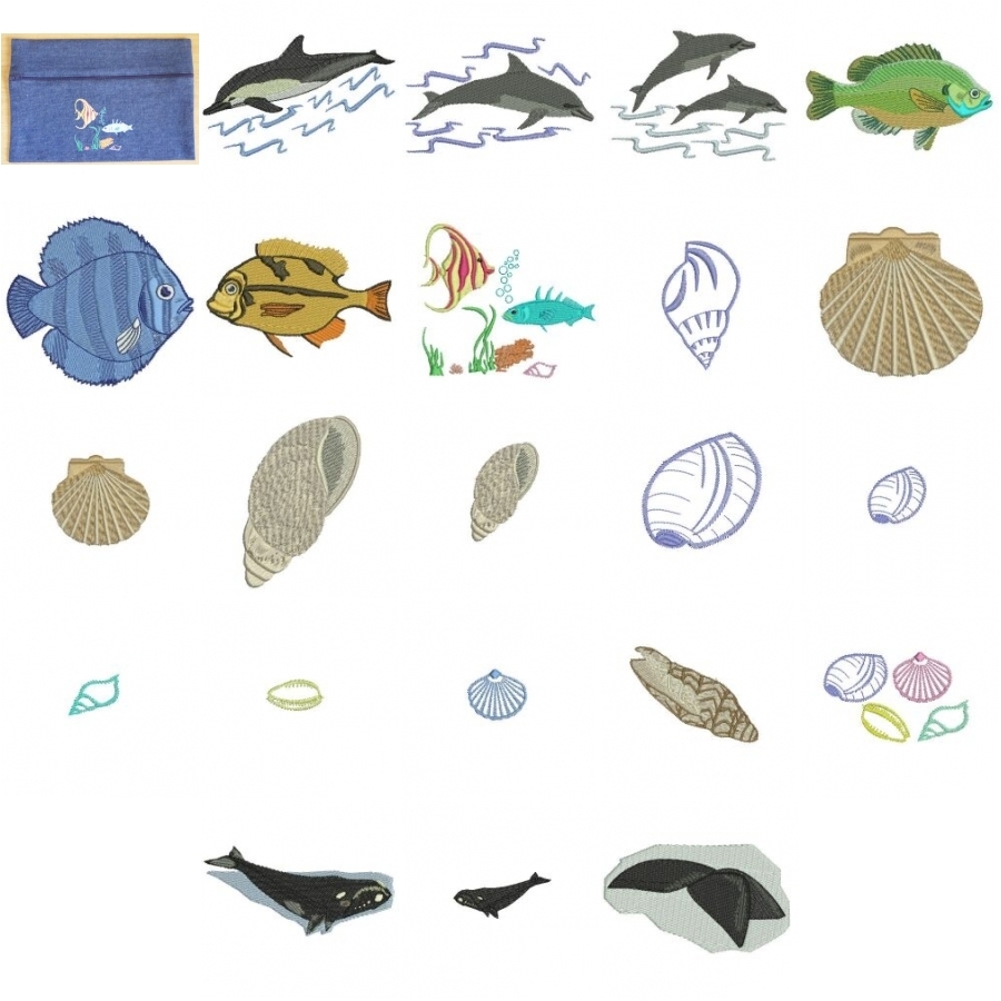Sea Life Collection 4x4