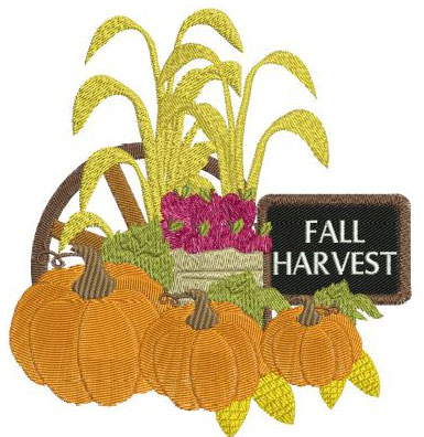 Fall Harvest-5