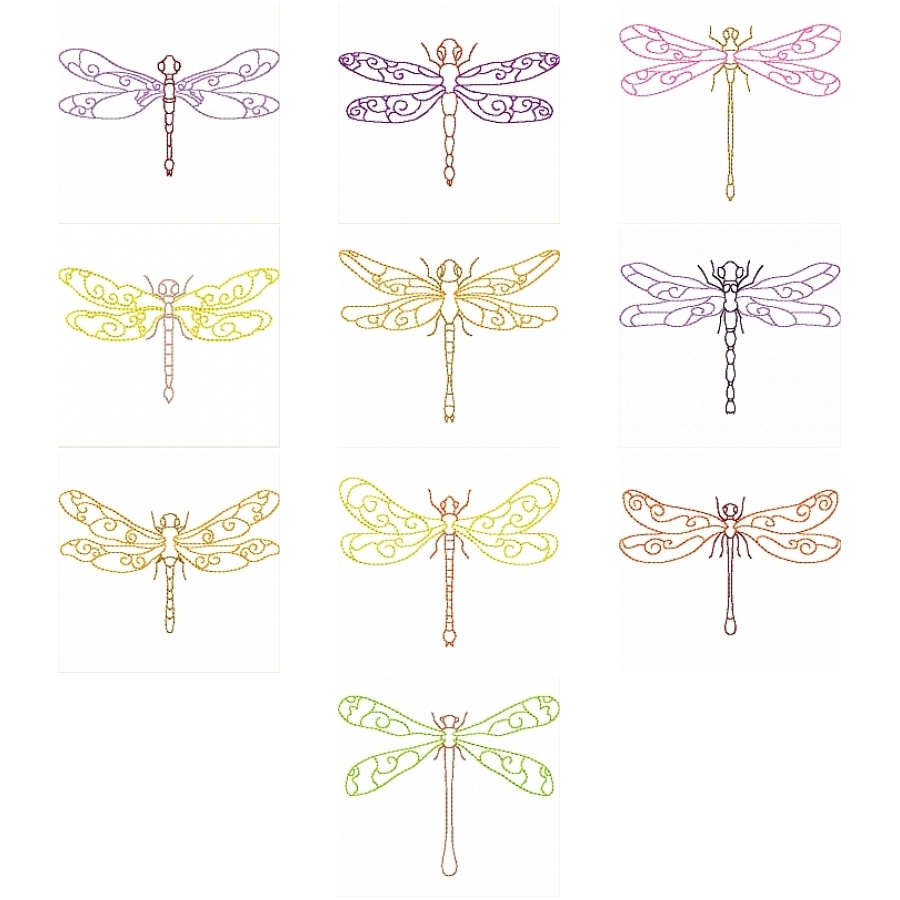 Small Lacy Dragonflies