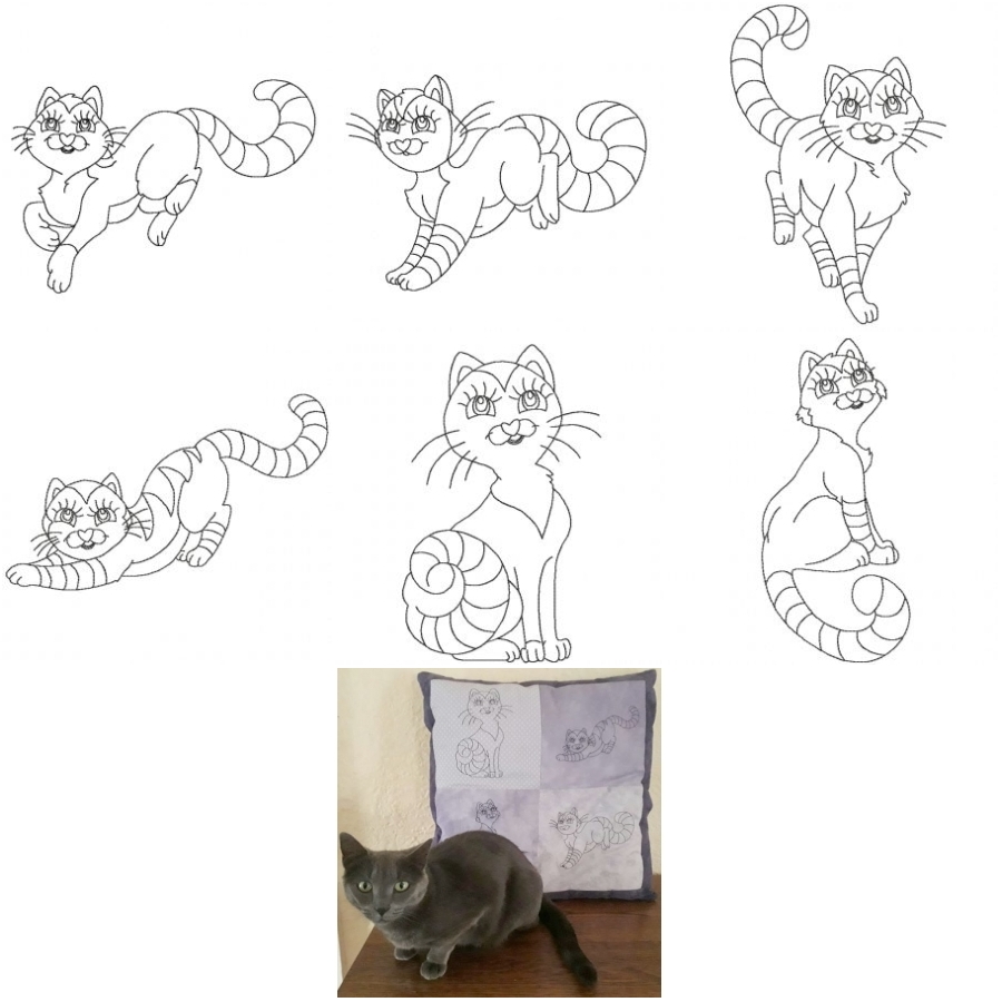 Outline Cats 
