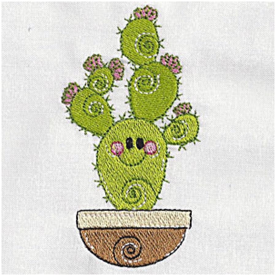 Swirly Cactus 